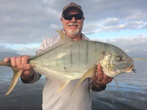 fast fish golden trevally