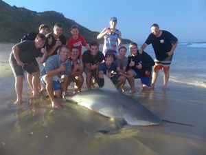 fraser island boys trip