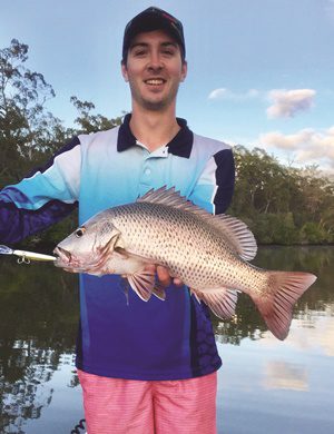 catching mangrove jack brisbane