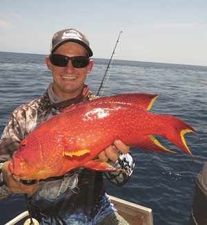 cape york trout