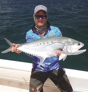 surface feeding pelagic hervey bay