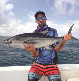 surface feeding pelagic hervey bay