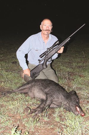 hunting feral pigs