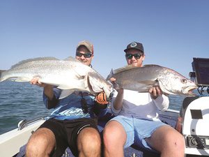 throughout moreton bay jewfish