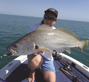 jewfish throughout moreton bay