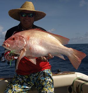 capricorn coast offshore fishing action