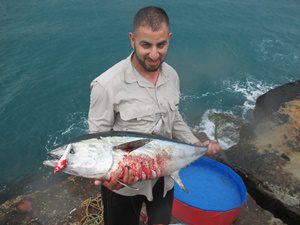 land-based game fishing iluka tuna