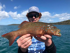 hervey bay fishing action