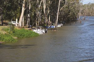 moura muddy water fishing classic 2019