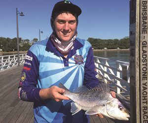 fish numbers and size increasing brisbane