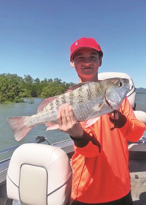 fishing mackay estuaries