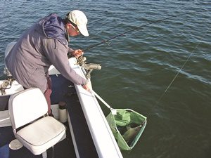 impoundment bass fishing southeast queensland
