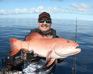 swain reefs trout