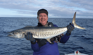 swain reefs mackerel