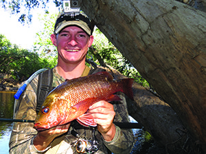 mangrove jack