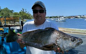 gold coast offshore fishing quite good