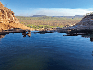 kakadu