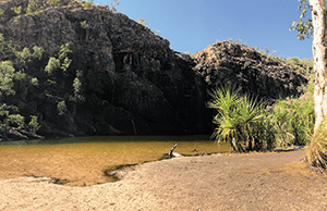 kakadu