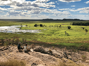 kakadu