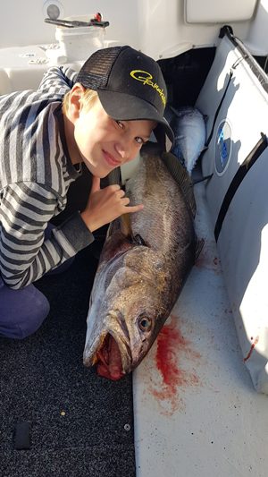 fish spread out gold coast