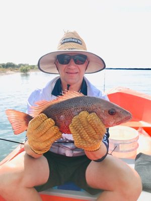 fish spread out gold coast