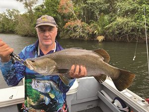 cape york barra