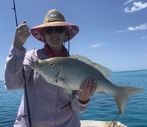 carlo fishing charters great barrier reef