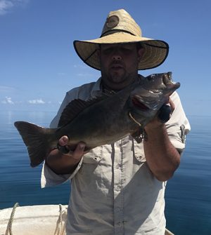 carlo fishing charters great barrier reef