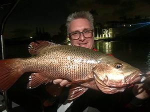 gold coast broadwater fishing