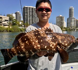 gold coast broadwater fishing