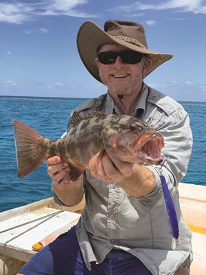 swain reefs charter fishing trip carlo fishing charters