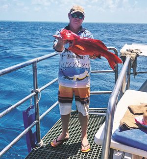 swain reefs charter fishing trip carlo fishing charters