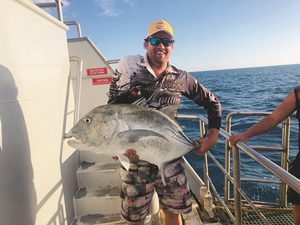 swain reefs charter fishing trip carlo fishing charters