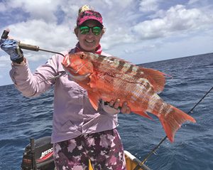 swain reefs charter fishing trip carlo fishing charters