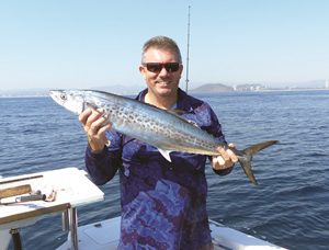 gold coast mackerel fishing