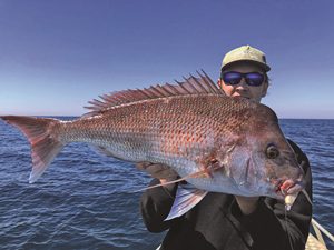 southeast queensland offshore fishing