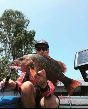 australia day weekend fishing bundaberg