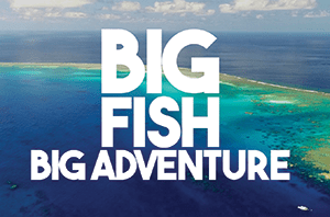 big fish big adventure