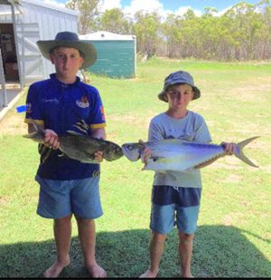 quality estuary species bundaberg