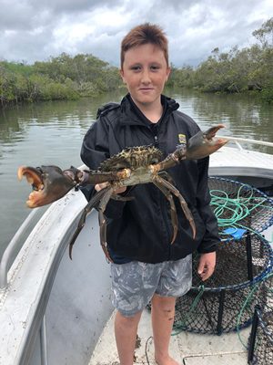 fishing starting to settle bundaberg