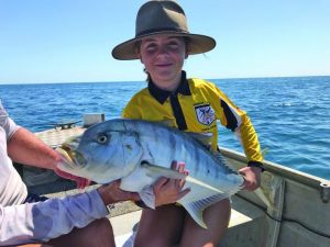 Golden trevally