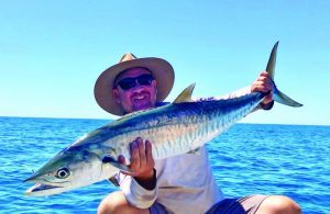 spanish mackerel