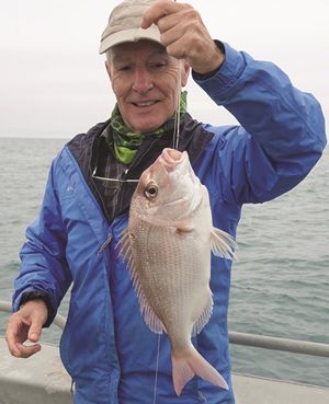 fishing peel island moreton bay