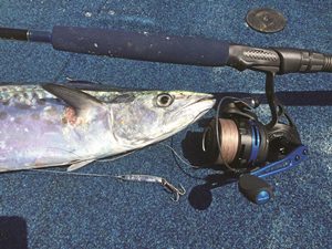 fishing peel island moreton bay