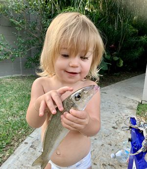 catch a feed fish gold coast