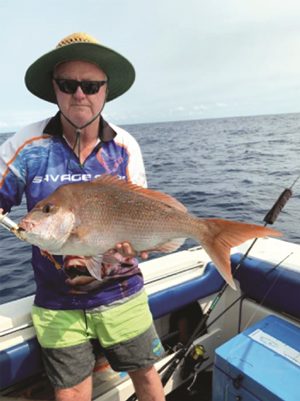 rainbow beach fishing snapper