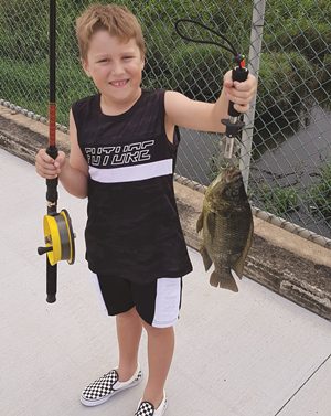 tilapia fishing brisbane