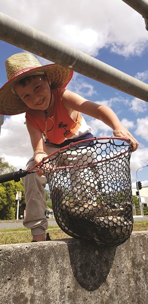 tilapia fishing brisbane