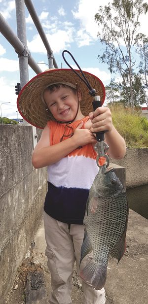 tilapia fishing brisbane