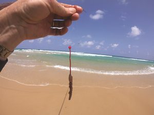 Beach whiting tactics part two: technique and baits - BNB Fishing Mag